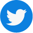 Twitter Icon