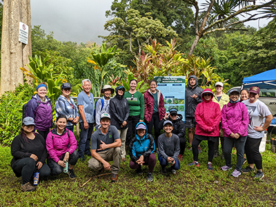 In October, HCF’s Community Grants and Initiatives team volunteered at Ko‘olau Mountains Watershed Partnership, a CHANGE grantee, pulling invasive weeds and planting native plants within the Waihe‘e Valley forest.