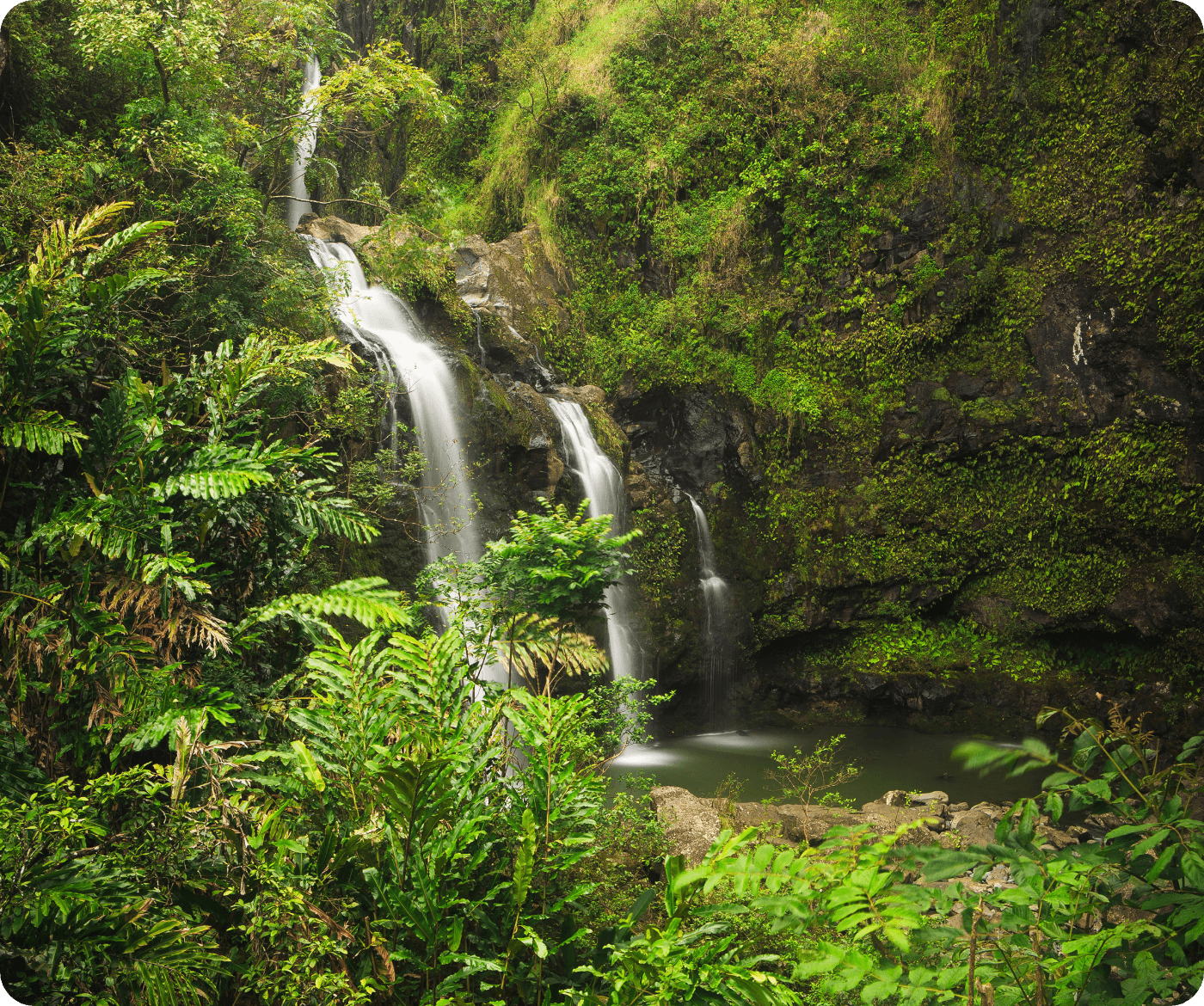 Fresh Water Initiative
