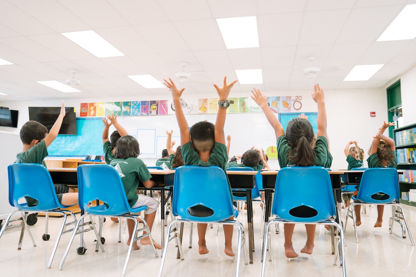 Youth Voice in Action